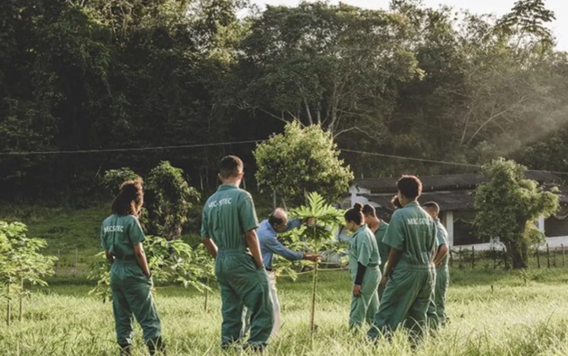 desenvolvimento sustentável, práticas ambientais