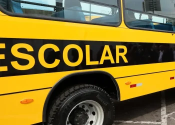 Educação básica, escolarização, ciclo escolar