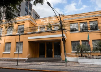 gestor municipal, chefe do executivo, líder do município