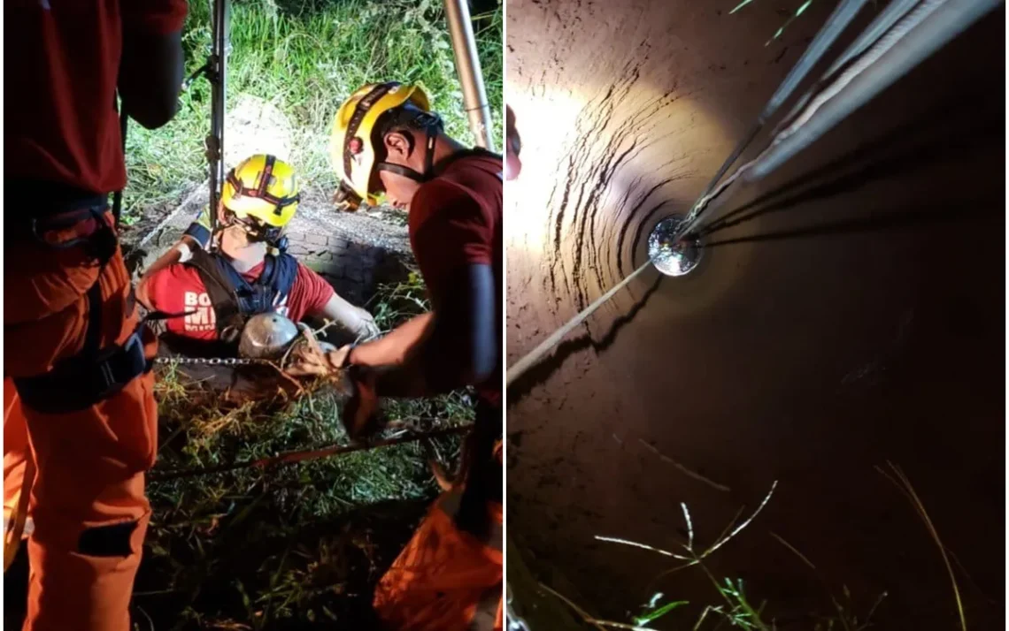 salvamento, socorro, ajuda