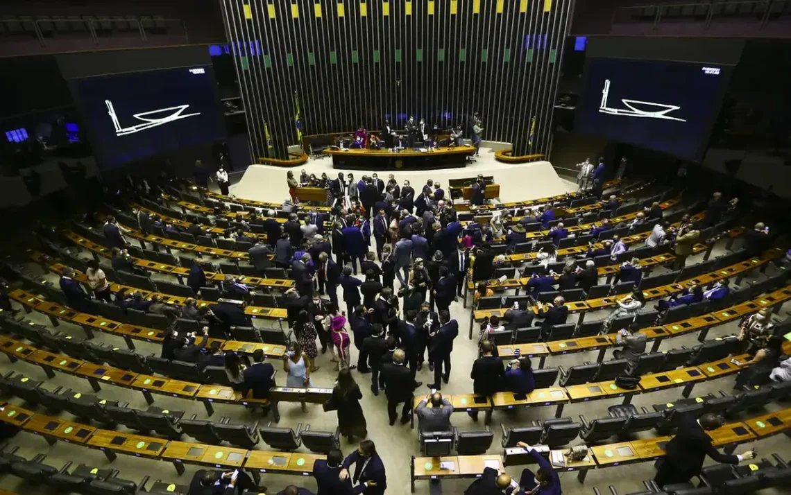 interrupção, gravidez voluntária;