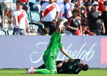 guarda-redes,portão, goleiro-titular;