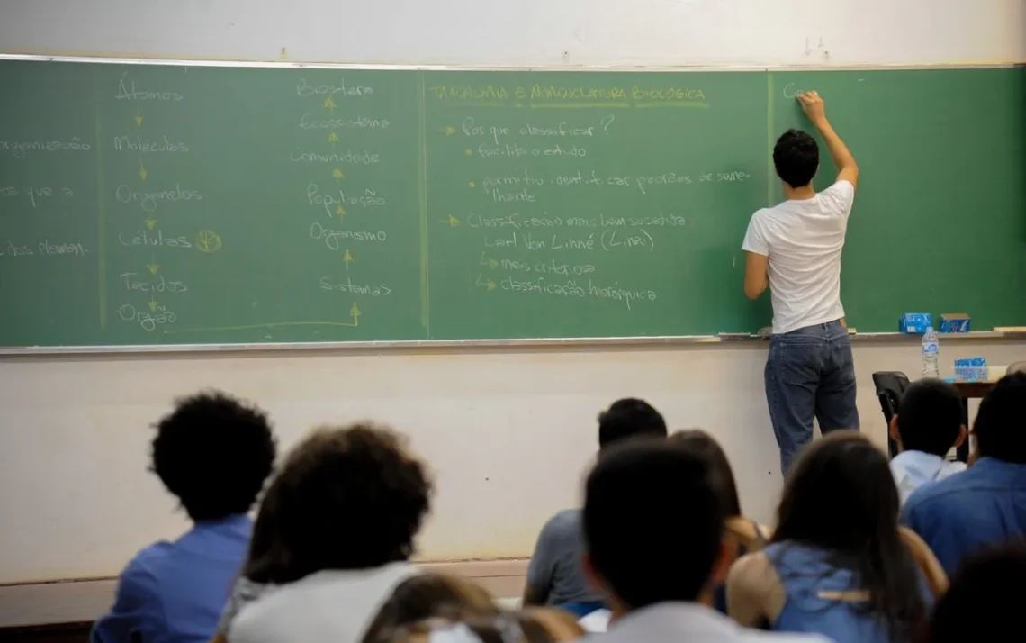 escolas estatais, instituições de ensino públicas;