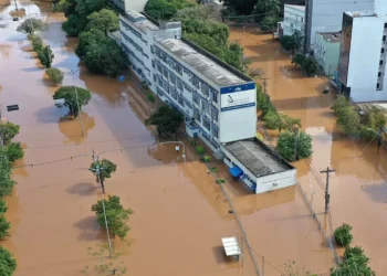 instituições de ensino, centros acadêmicos;