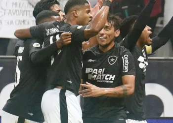 partida, entre Cuiabá, vs, Botafogo;