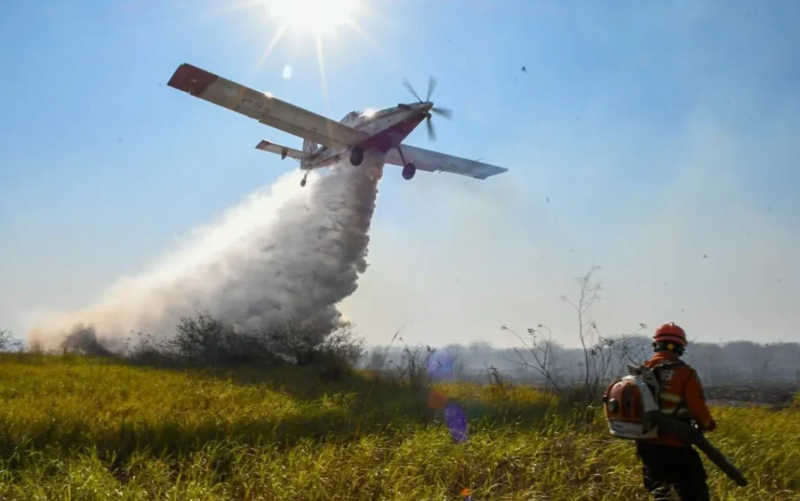 combate, a queimadas, enfrentamento, aos incêndios;