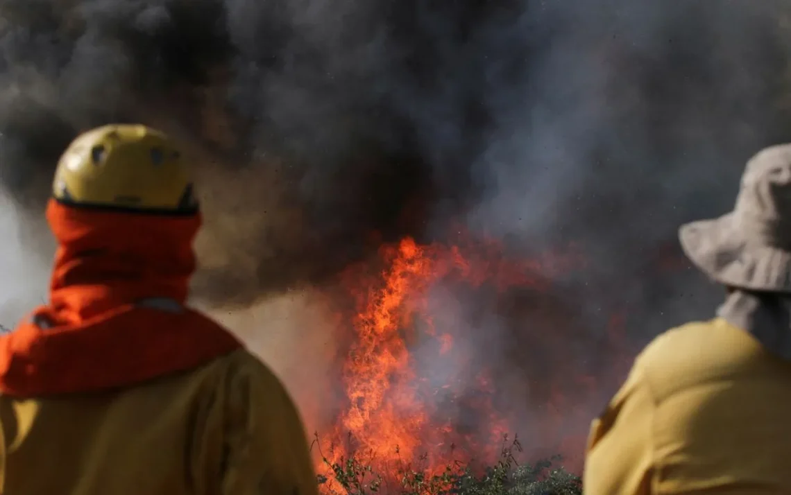 queimadas, fogos;