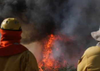 queimadas, fogos;