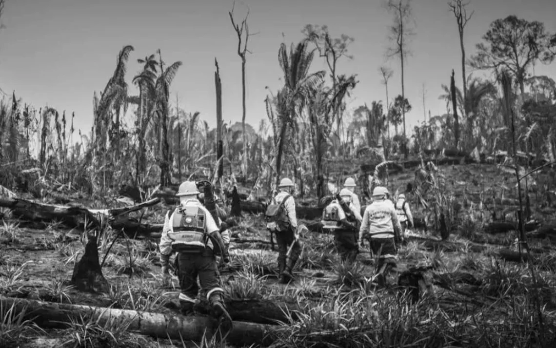 combatente, de incêndios;