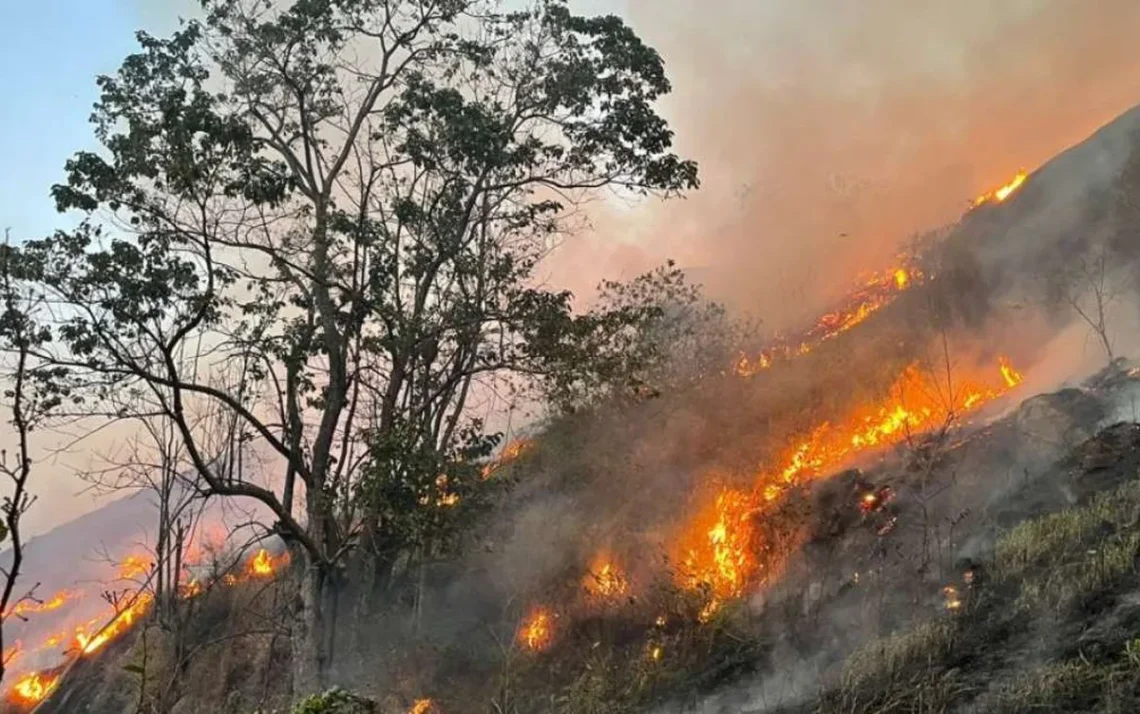 bloqueio, fechamento, obstrução;