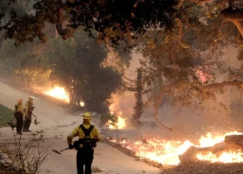 quelandas, poluição, por incêndios;