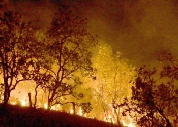 queimadas, focos, de incêndio;