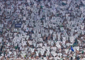 Mancha, Alviverde, torcida, organizada;