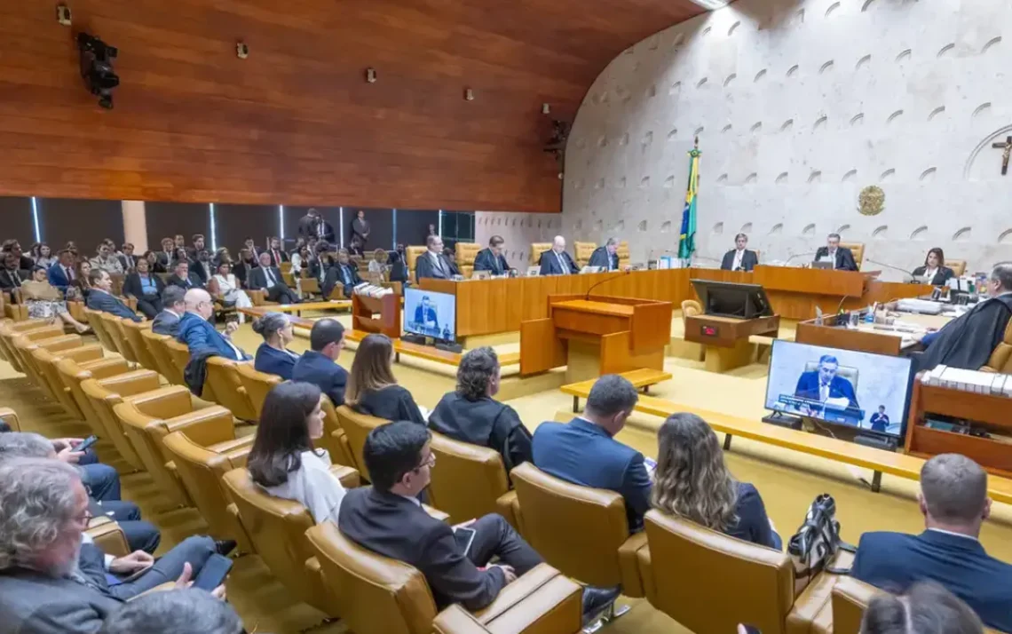 interrupção, voluntária, gravidez;