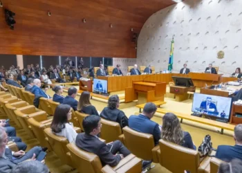 interrupção, voluntária, gravidez;